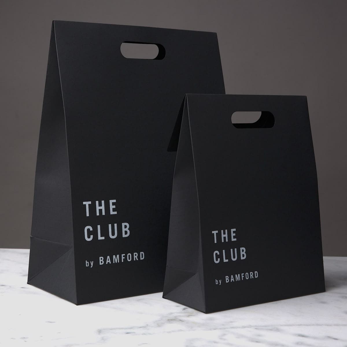 Paper Bag sample 2
